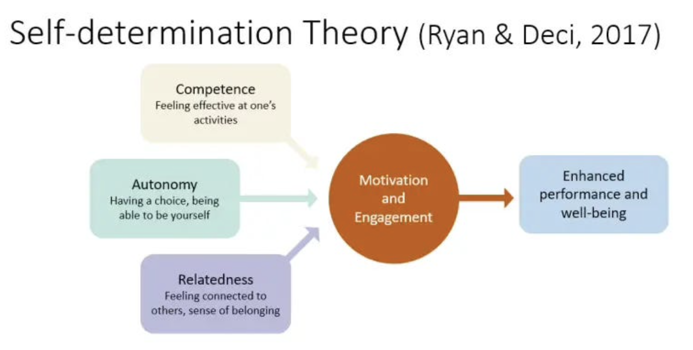 Why Coaches Need To Understand Self Determination Theory